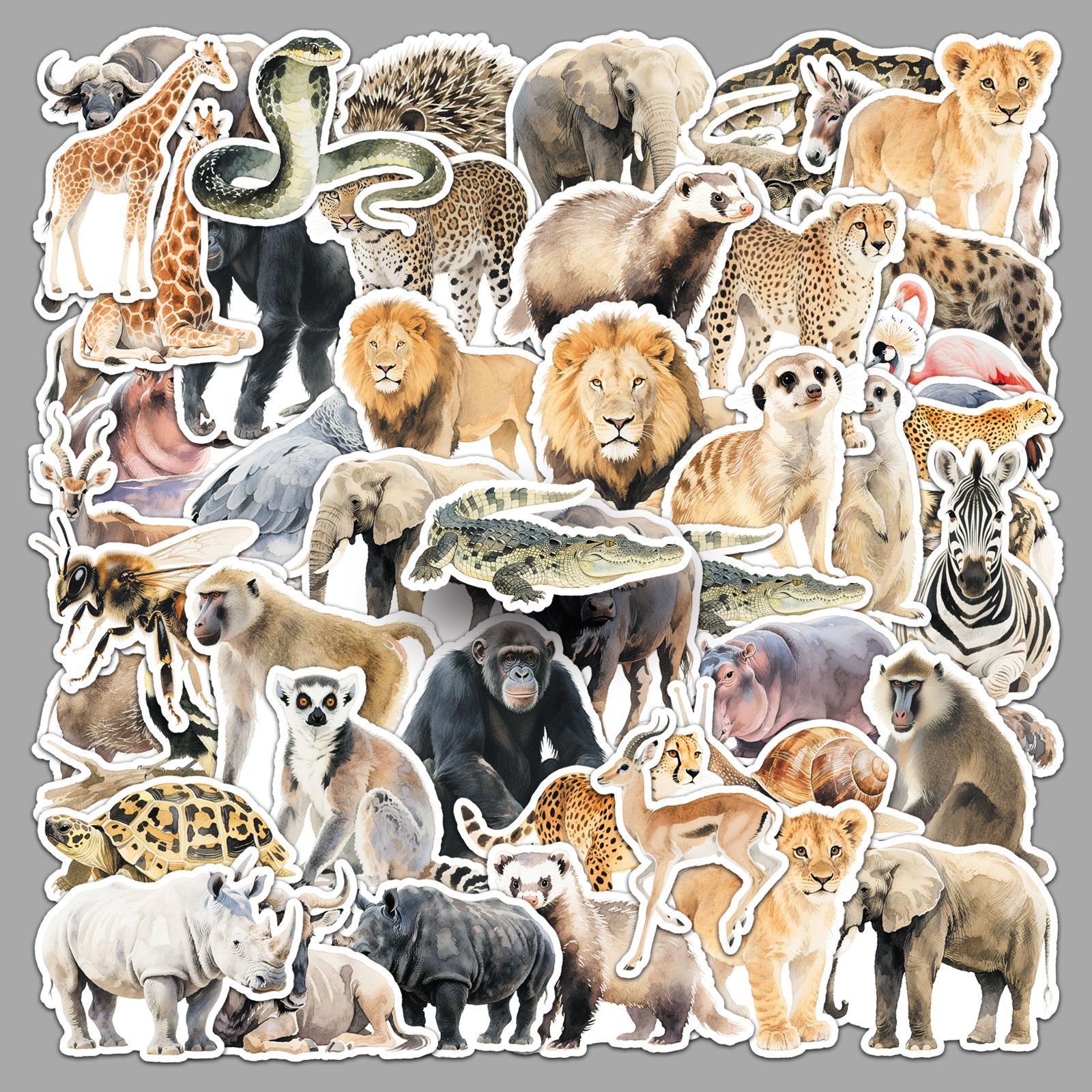 50PCS African Animal Cartoon G - Kids Toys Elephant 评论和价格