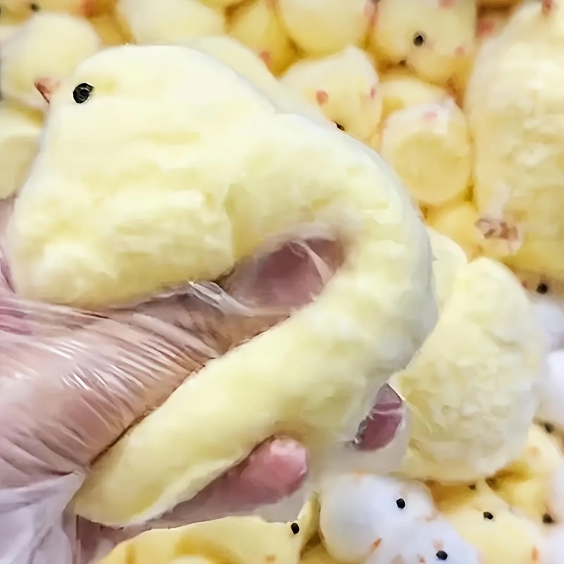 1Pc Yellow Chick Squishy Squee - Kids Toys Entertainer 评论和价格